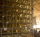 Wine-producing